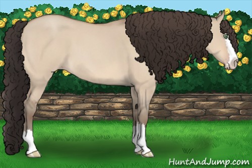 Horse Color:Amber Champagne Roan Dun Splash