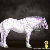 Horse Color:Watercolor White Spotted Chocolate Silver Bay Onyx Near Leopard