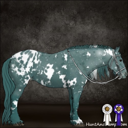 Horse Color:Watercolor White Spotted Black Blanket 