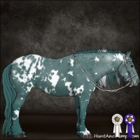Horse Color:Watercolor White Spotted Black Blanket