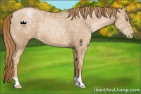 Horse Color:Chestnut Ice Pearl 