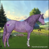 Horse Color:Watercolor Chestnut 