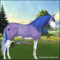 Horse Color:Watercolor Grullo Splash 
