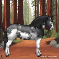 Horse Color:White Spotted Black Frame 