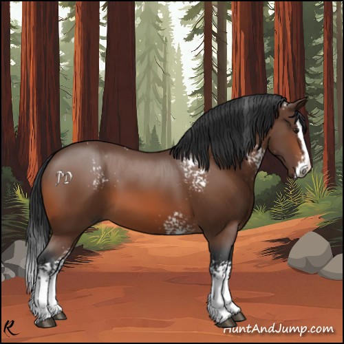 Horse Color:White Spotted Brown Splash 