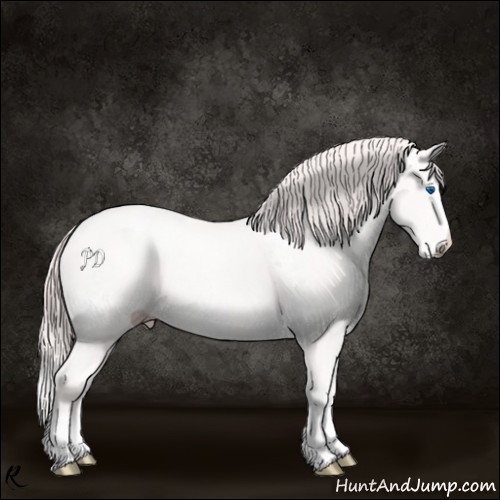 Horse Color:White Spotted Smoky Creme Splash 