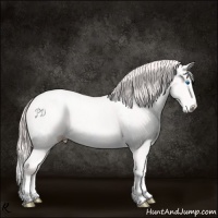Horse Color:White Spotted Smoky Creme Splash