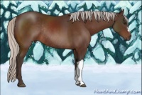 Horse Color:Silver Brown Rabicano