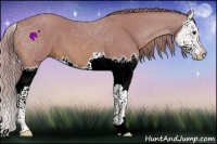 Horse Color:Watercolor Chestnut Splash 