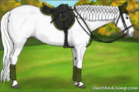 Horse Color:Gray White Spotted Bay Blanket 