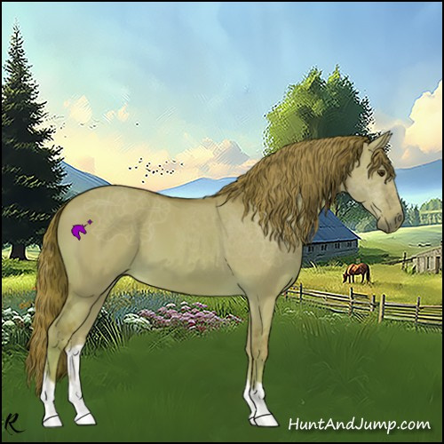 Horse Color:Watercolor Red Dun 