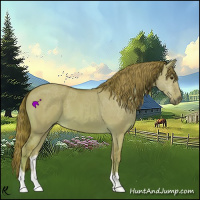 Horse Color:Watercolor Red Dun