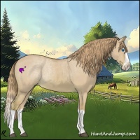 Horse Color:Watercolor Red Dun Splash