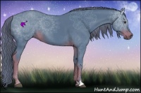 Horse Color:Watercolor Liver Chestnut 