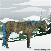Horse Color:Watercolor Bay Ice Frame Rabicano