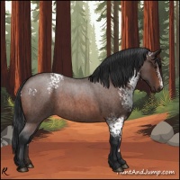 Horse Color:White Spotted Bay Roan 