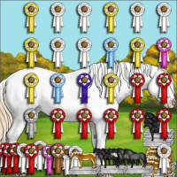 Horse Color:Red Dun Appaloosa