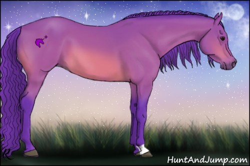Horse Color:Watercolor Bay