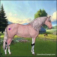 Horse Color:Watercolor Silver Bay Dun Tobiano 