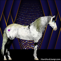 Horse Color:Watercolor White Spotted Red Dun Roan Splash Frame Rabicano