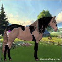 Horse Color:Watercolor Chestnut Tobiano 
