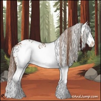 Horse Color:White Spotted Chestnut Splash 