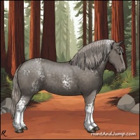 Horse Color:White Spotted Silver Black 