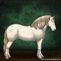 Horse Color:White Spotted Smoky Black Pearl