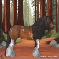 Horse Color:White Spotted Buckskin 