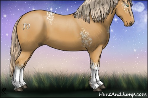 Horse Color:White Spotted Palomino 