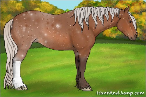 Horse Color:Silver Bay