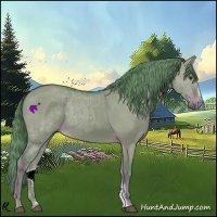 Horse Color:Watercolor Liver Red Dun Sabino 