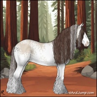 Horse Color:White Spotted Classic Champagne Dun Splash 