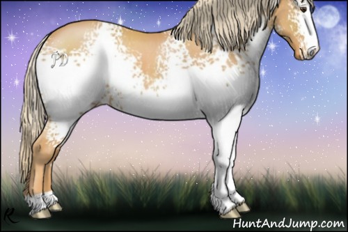 Horse Color:White Spotted Chestnut Rabicano