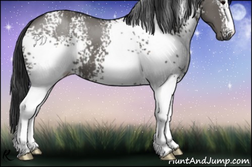 Horse Color:White Spotted Grullo