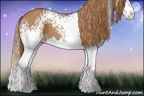Horse Color:White Spotted Chestnut Splash 