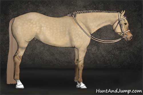 Horse Color:Chocolate Palomino Dun 