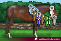 Horse Color:Liver Chestnut 
