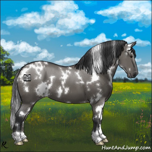 Horse Color:White Spotted Grullo 