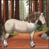 Horse Color:White Spotted Red Dun Splash 