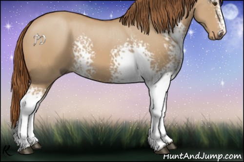 Horse Color:White Spotted Red Dun 