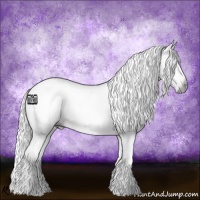 Horse Color:Gray White Spotted Smoky Black