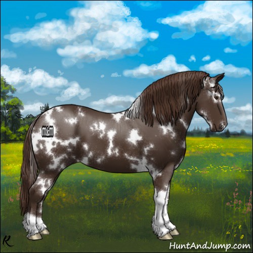 Horse Color:White Spotted Liver Chestnut