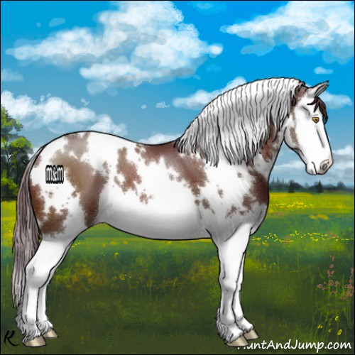 Horse Color:White Spotted Chocolate Brown Splash