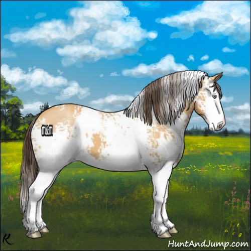 Horse Color:White Spotted Sable Cream Champagne Splash 