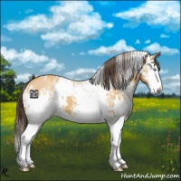 Horse Color:White Spotted Sable Cream Champagne Splash 