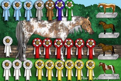 Horse Color:White Spotted Buckskin and White Spotted Brown Dun