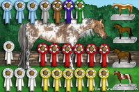 Horse Color:White Spotted Buckskin  and White Spotted Brown Dun 