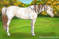 Horse Color:White Spotted Smoky Grullo Pearl 