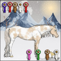 Horse Color:White Spotted Palomino Pearl 